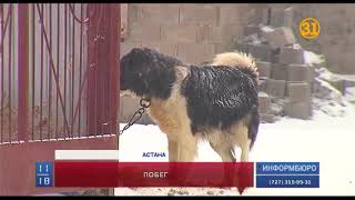 В Астане вторые сутки ищут сбежавшего из СИЗО вора-рецидивиста