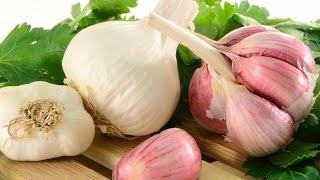 Как мариновать чеснок на зиму
