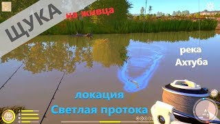 Русская рыбалка 4 - река Ахтуба - Щучка в корягах