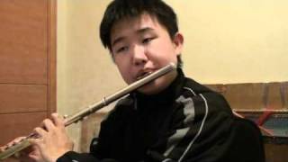 My Heart Will Go On - Flute Cover
