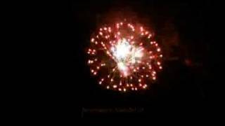 1691 Elefanten-Baby, Feuerwerk Kat. IV Cake bei feuerwerk-handel.ch