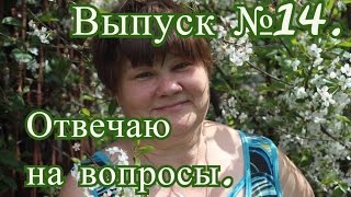 Прямая трансляция №14 (05.11.2016 г.).Отвечаю на Ваши вопросы.