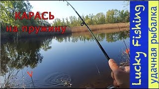 Карась на пружину I залив с. Разумовка