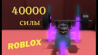 СИМУЛЯТОР КАЧКА РОБЛОКС! 40.000 силы! ТРОЛЛИНГ#Roblox Weight Lifting Simulator