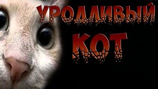 СТРАШИЛКИ НА НОЧЬ - Уродливый кот