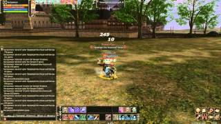 Предводитель кошачьей банды Рейд Босс 39  Lineage 2