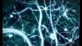 Живая Клетка - II (защита клеток мозга)