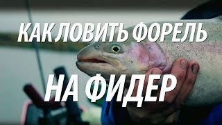ЛОВЛЯ ФОРЕЛИ НА ОЗЕРЕ. РЫБАЛКА В ШВЕЦИИ НА ФИДЕР С НОРМУНДОМ ГРАБОВСКИСОМ