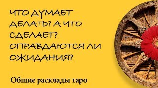 ЧТО ДУМАЕТ ДЕЛАТЬ? А ЧТО СДЕЛАЕТ? ОПРАВДАЕТСЯ ЛИ ОЖИДАЕМОЕ? - Общий расклад таро