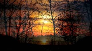 Midnight - Сергей Высокосов(Боров) Boroff Band