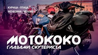 Открытие от Мотококо / Кудах тах тах [СКУТЕР БЛОГ]
