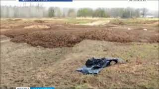 В Курагинском районе местные жители обнаружили огромный скотомогильник