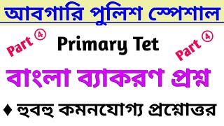 বাংলা ব্যাকরণ প্রশ্ন সেট 4 | আবগারি পুলিশ | Primary Tet |
