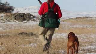 Idaho Chukar Hunting action. Dogs, guns, girls - with Ron Spomer
