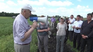 Ярмарка сортов и гибридов в Институте растениеводства им.В.Я.Юрьева