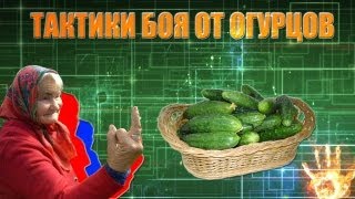 Тактики боя от огурцов # Выпуск 5