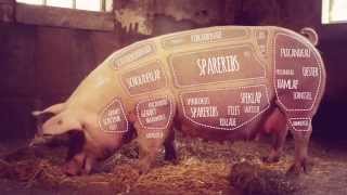 NVV film start offensief voor het Nederlandse varken