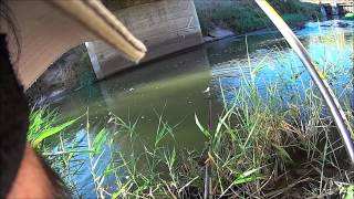 MATCH FISHING ΕΓΓΛΕΖΙΚΟ ΨΑΡΕΜΑ ΚΥΠΡΙΝΟΥ