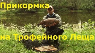 Прикормка на Трофейного Леща. Крупная фракция в прикормке.