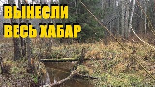 КОП по ВОЙНЕ. Вынесли хабар с позиций Вермахта. Разведка приносит свои плоды. Фильм 66.