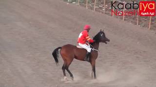 البطلة بلاك بلنسه BLACK BALANCA  BLACK DESPERADO & BALANCA