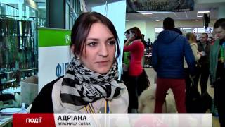 Львівський осередок «Племцентр» влаштував міжнародну виставку собак