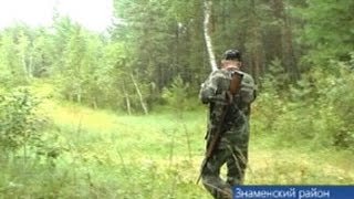 В трех районах Омской области открыли охоту на косолапых
