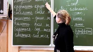 Видеоурок по русскому языку в 5 классе