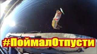 Заброшенные места  в России/Дикая Щука/Секретное озеро/Летняя Рыбалка 2019/