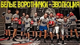 БЕЛЫЕ ВОРОТНИЧКИ - ЭВОЛЮЦИЯ