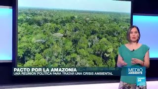 Pacto de Leticia por la Amazonía: una reunión política "de buenas intenciones" y pocas acciones conc