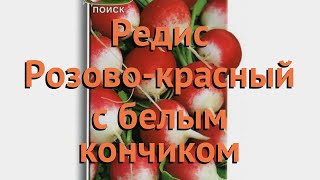 Редис обыкновенный Розово-красный с белым кончиком ? обзор: как сажать, семена редиса