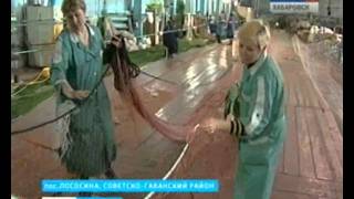 Вести-Хабаровск. Как плетутся рыболовные снасти