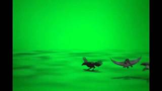 Вороны футаж green screen скачать