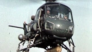 Westland Wasp Operational