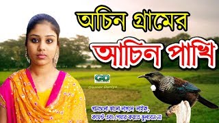 অচিন গ্রামের অচিন পাখিরে- বাংলা ফোক গান | Bangla Folk Songs | bangla songs | bangla sad music