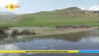 Uğurca Köyü Kuş Cenneti Sahası Doğa Sistemleri Tuzluca Iğdır 4K UHD