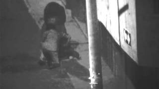 Pareja cogoteó a joven ebrio en la vía pública