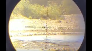 AirGun Diana 4.5 (.177) shooting 273 yards (250 meters)