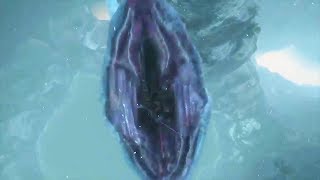 Snake eats Sekiro (SSDT)