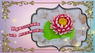 Кувшинки из мастики