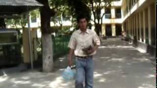 Don Bosco (01)
