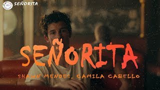 Shawn Mendes, Camila Cabello -  Señorita  (Lyrics Video)