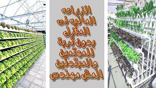 الزراعة المائيه فى المنزل بدون تربه من البدايه الادوات والتكلفة