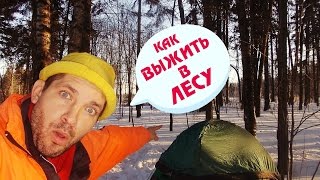 Ночевка в палатке. Выживание в лесу зимой. Облаяли собаки