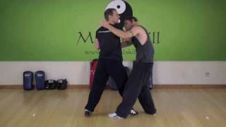 7 Star Mantis Kung Fu: Double Raised Hooks