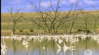 Soil salinity in Australia (2001)