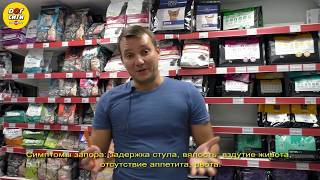Запоры у кошек