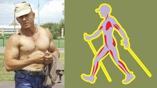 Скандинавская ходьба. Эффект от занятий