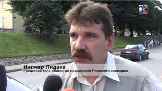 Тюлень Вилли возвращается в море